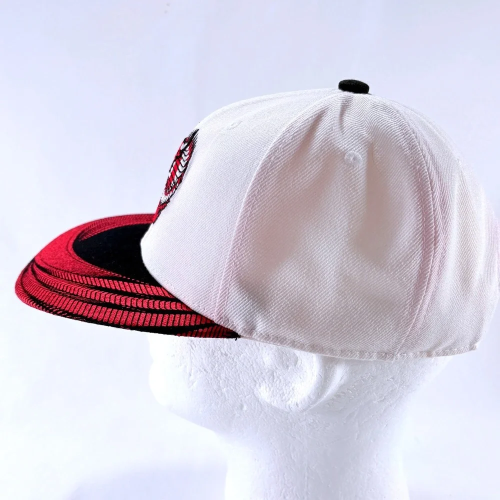 Melonwear NBA Chicago Bulls BMO Harris Artist Series Chuck Anderson Snapback Hat